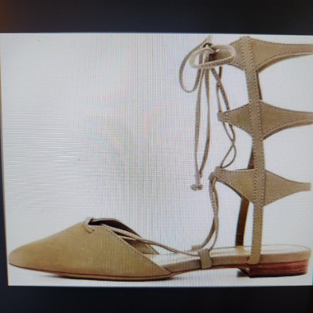 SCHUTZ Tao Brush Sand Nude Suede Pointed Toe Tie Ups. NIB. Size 8.5